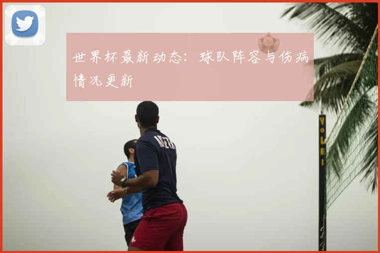 世界杯最新动态:球队阵容与伤病情况更新